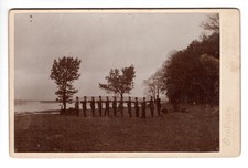 Foto kabinettkarte - foto,