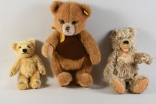 C26N57- 3 Teddybären überwiegend Steiff ua Zotty