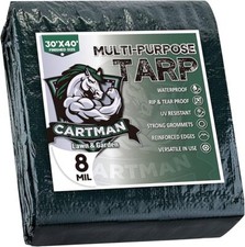 Cartman finished size 30x40 - size,