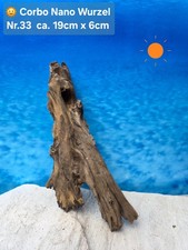 ‼️Corbo Root Nano⭐️