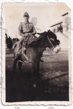 orginal Foto 2. Weltkrieg