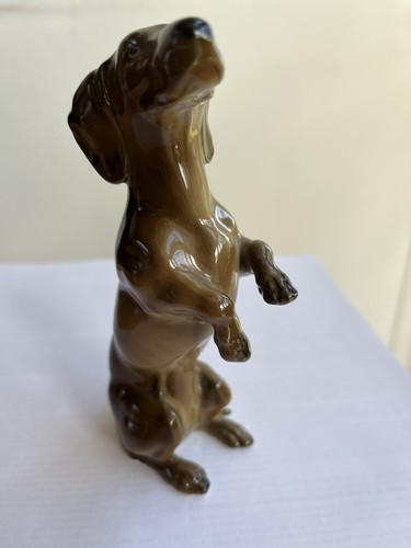 Dackel hund stehend - dackel,