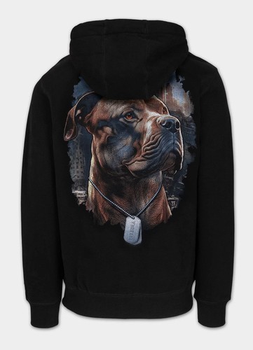 Pullover sweatshirt - pullover,