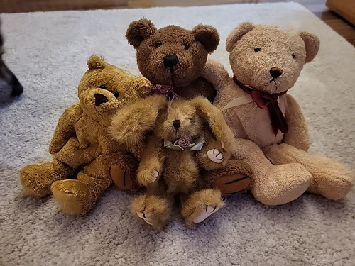 Teddy bären hase 4 stück - bären,