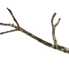 Korkast ca. 90cm für