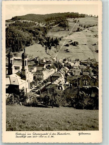 10385585 7868 todtnau - 7868,