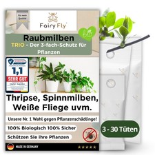 Raubmilben Trio gegen Thripse