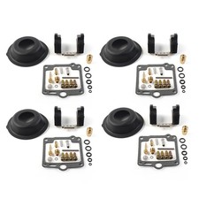 Vergaser-Reparatursatz