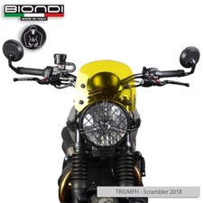 Windschutzscheibe blond gelb