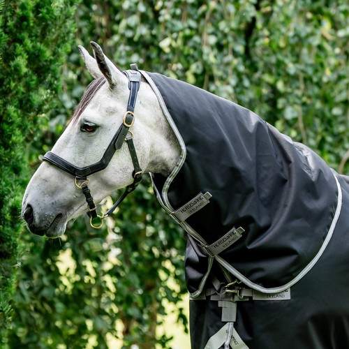 Horseware amigo bravo xl - horseware, 12