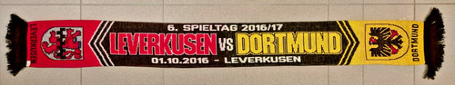 Bayer leverkusen borussia - bayer,