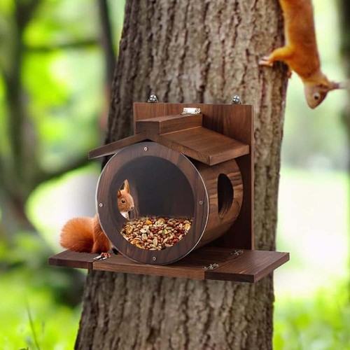 Eichhörnchen futterhaus - eichhörnchen,