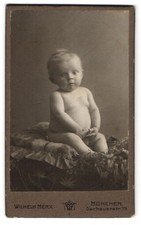 Fotografie Wilhelm Merx