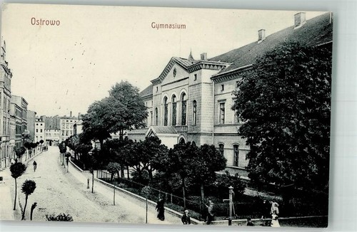 13559911 ostrowo gymnasium - 13559911,