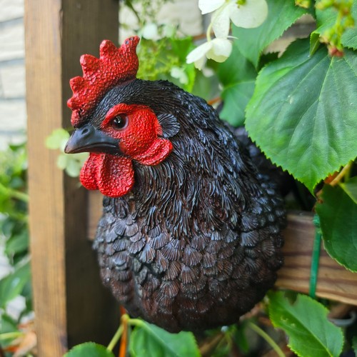 Henne huhn figur schwarz 21cm - henne,
