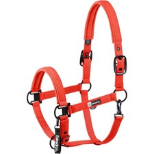 Eskadron Poppy Red P2 Halfter Sparkle Double Pin Dynamic 2025 Stallhalfter