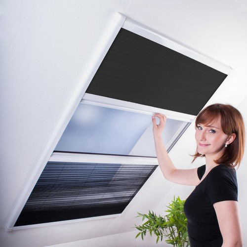 2in1 kombi dachfenster - 2in1,