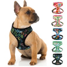 Hundegeschirr Softgeschirr Nylongeschirr Französische Bulldogge Gepolstert Weste
