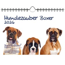 Hundezauber Boxer DIN A5