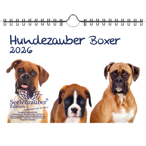 Hundezauber boxer din - hundezauber,