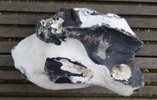 Hühnergott Lochstein Haus Garten Ostsee Glück Deko