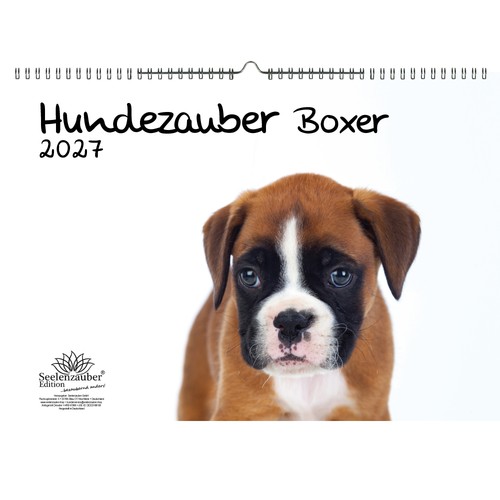 Hundezauber boxer din - hundezauber,