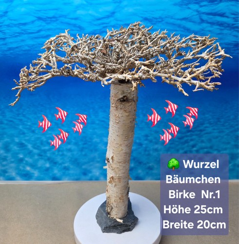 Aquarium scaping holz baum - aquarium,