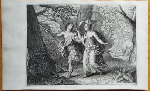 Hexe circe picus - picus,