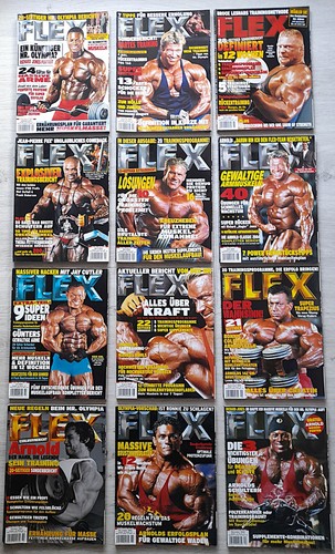 Flex 2004 alle ausgaben - alle,