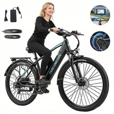 29'' Elektrofahrrad 750W