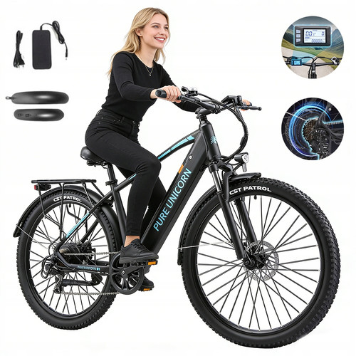 Elektrofahrrad 750w - 29'',