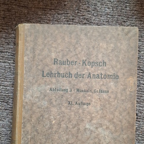 Georg thieme rauber kopsch - –, rauber-kopsch