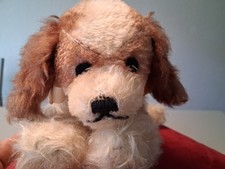 Hund von Steiff, Cocker