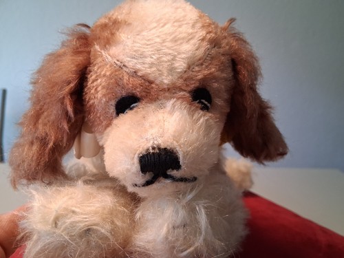 Hund von steiff cocker - von, steiff,