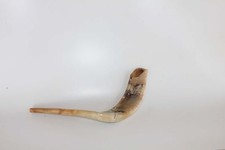 Ram widder horn shofar - widder,