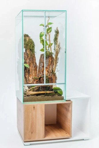 Glas terrarium 45x45x90cm - glas,