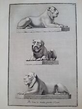 Löwen Von Marmor E Granit