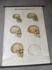 alte Rollkarte Schulwandtafel