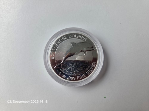 Australian dolphin ram 2019 - australian,