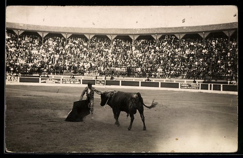 Torero der stierkampfarena - torero, in