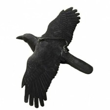 xxl Beflockte Lockkrähe mit