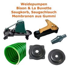 Weidepumpe Weidetränke Bison