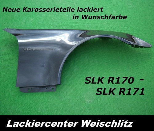 Kotflügel lackiert - lackiert, in
