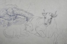 Bleistiftzeichnung auf Papier