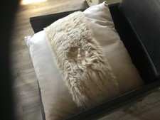 Designerkissen wunderschön