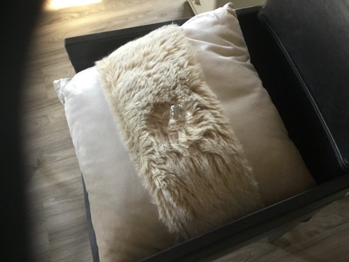 Designerkissen wunderschön