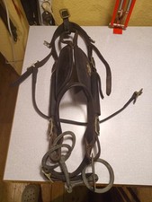 Uraltes Kutschpferde