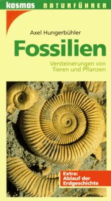Fossilien versteinerungen von - fossilien.,