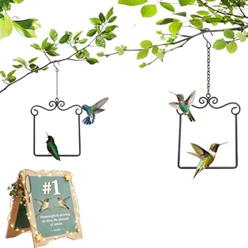 Schaukel kolibri sitzstange - schaukel, 17