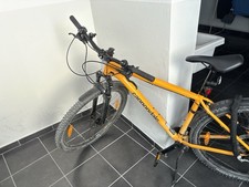 Tolles Weihnachtsgeschenk